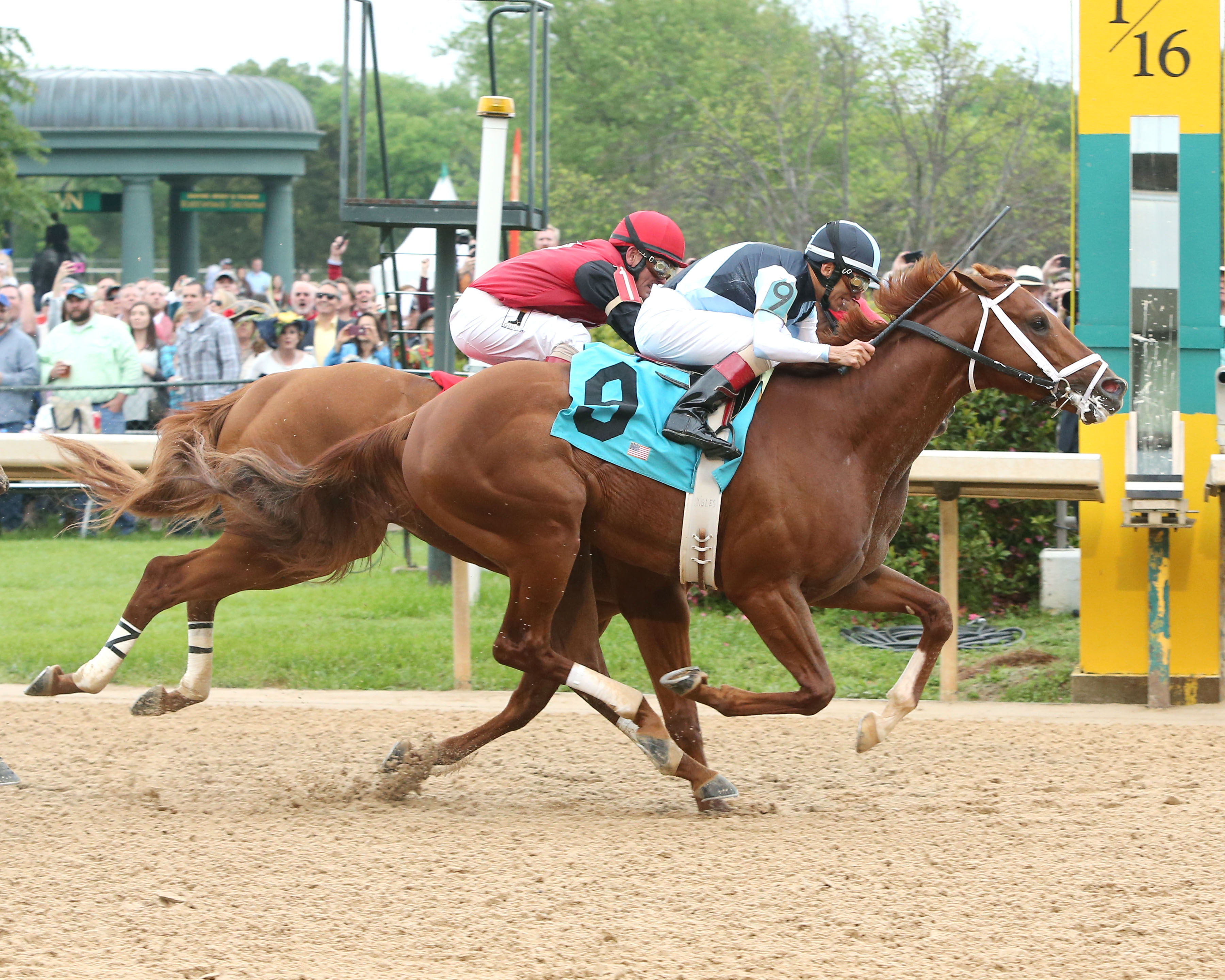 DECORATED_SOLDIER_-The_Northern_Spur-19th_Running-04-16-16-R08-OP-_002.jpg