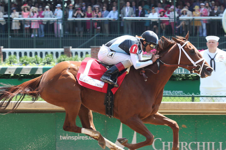 Curalina La Troienne - Aiken Trained Horse of the Year