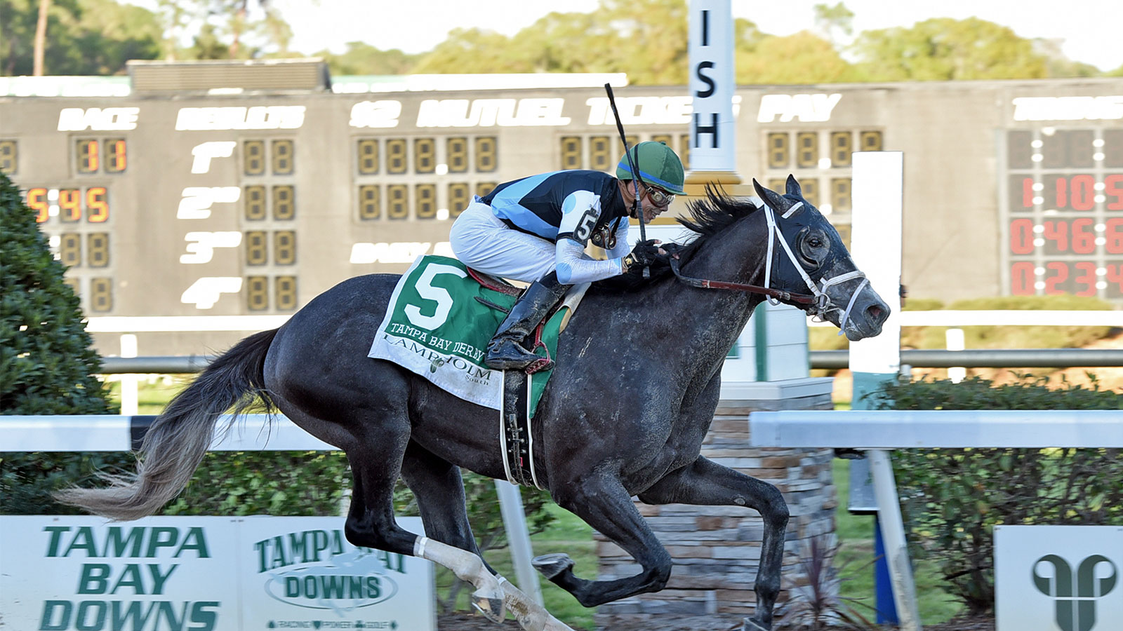 Road to the Derby Tampa Bay Derby Analysis Eclipse Thoroughbred Partners