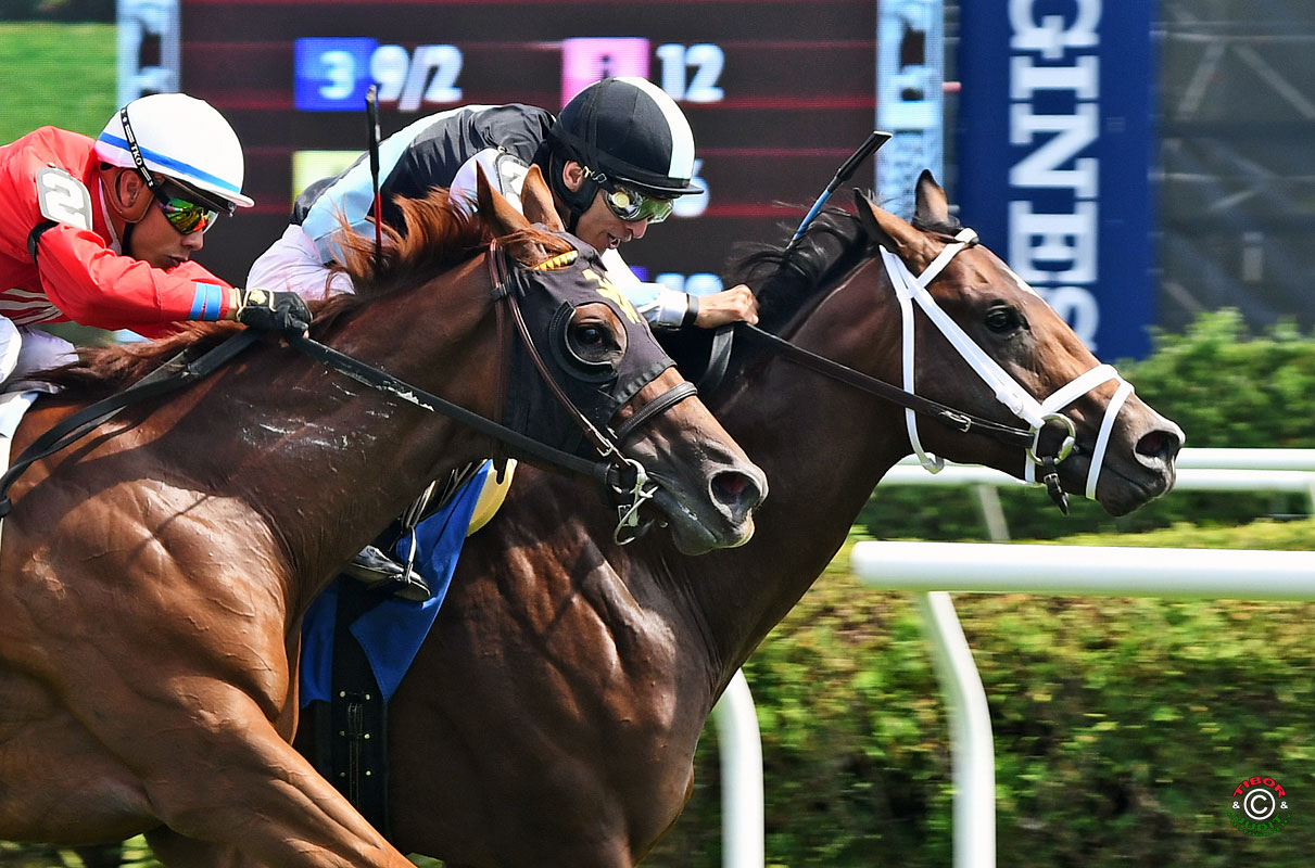 Wellconnected El Dulce tops class in Skidmore Stakes Eclipse
