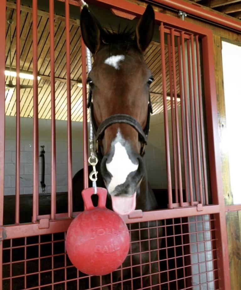 Total Eclipse: 2018 Top 10 Highlights & Year In Review | Eclipse