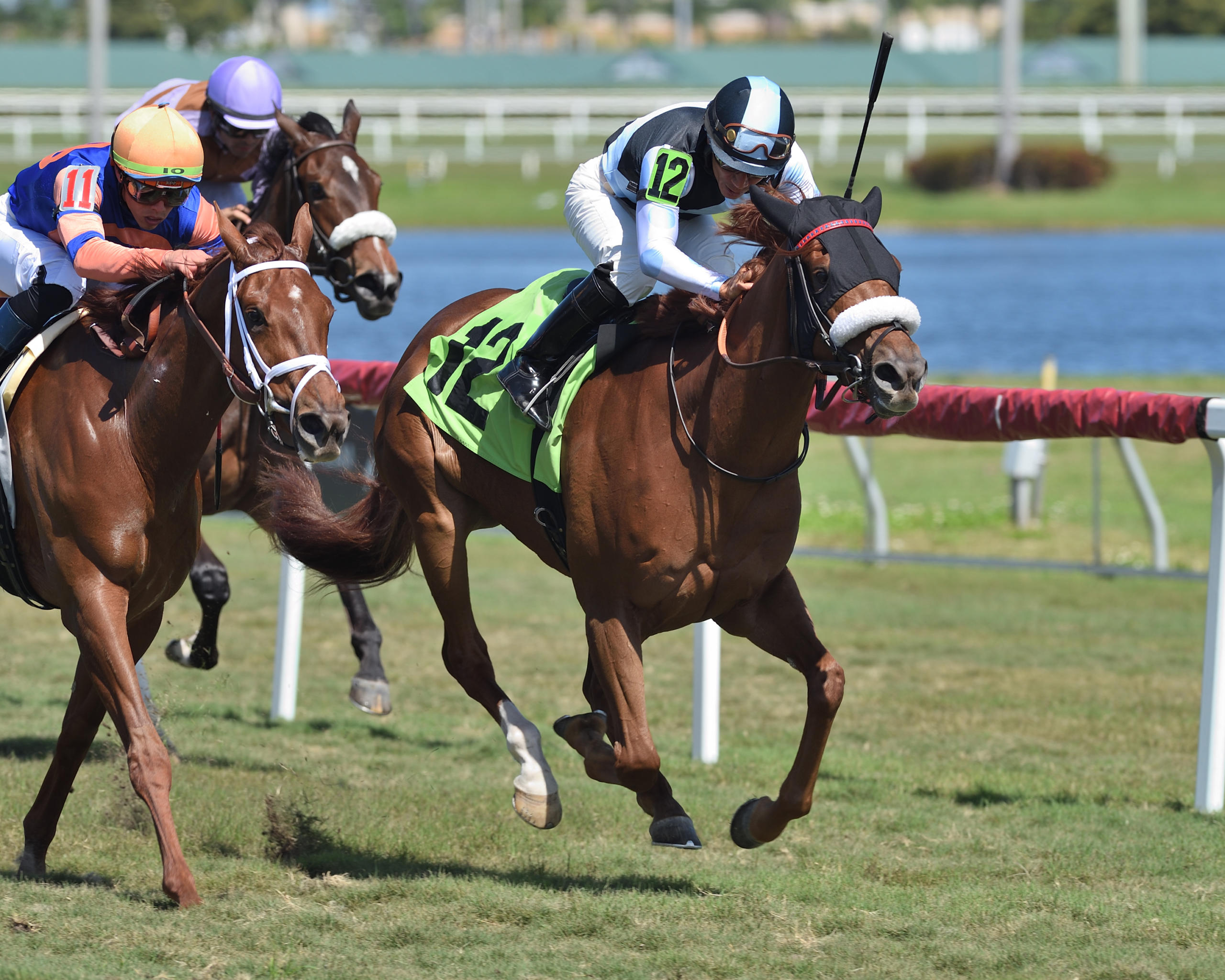 Overflow field for turf allowance feature | Eclipse Thoroughbred Partners