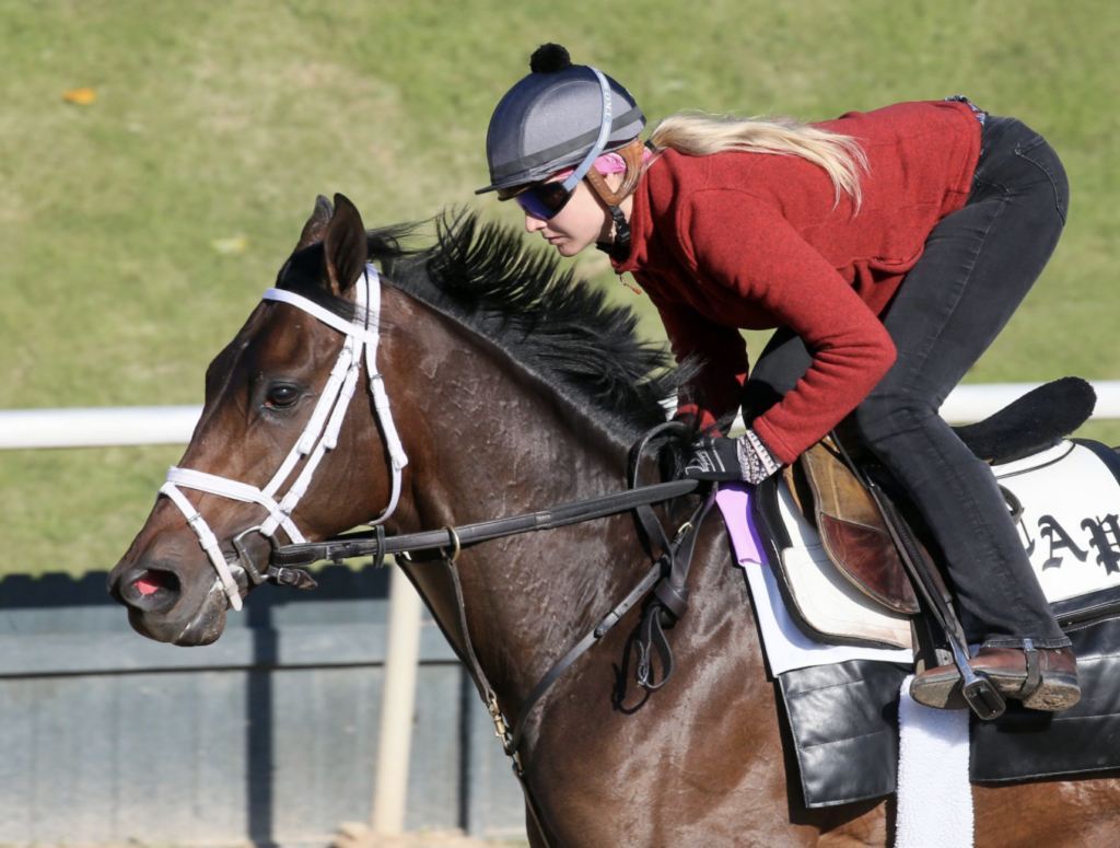 Wellman Farmington Road ‘Can Make His Presence Felt’ In Belmont Stakes