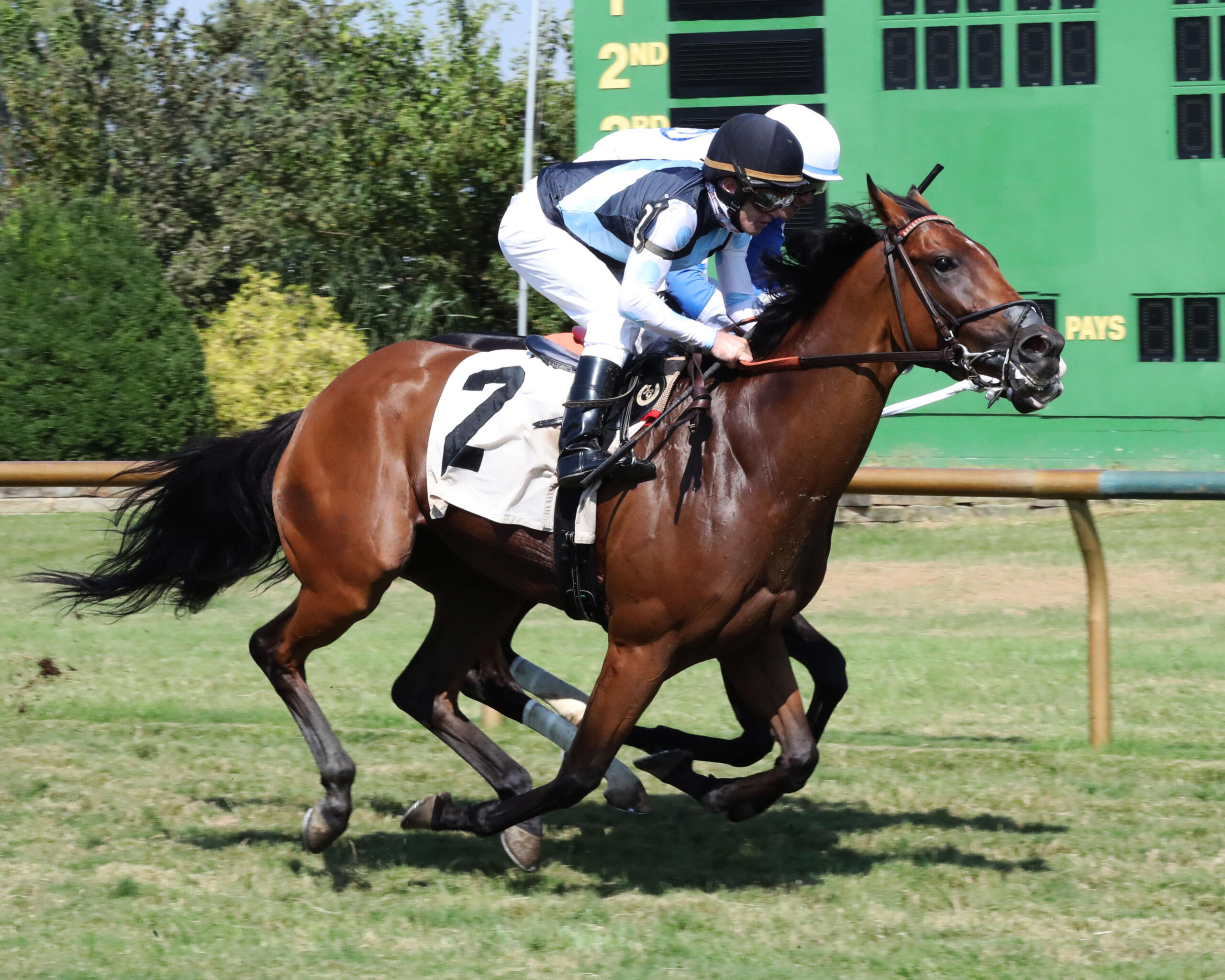 5 Win Weekend Topped By G1 Del Mar Oaks Win, Marking Eclipse's 14th G1 ...