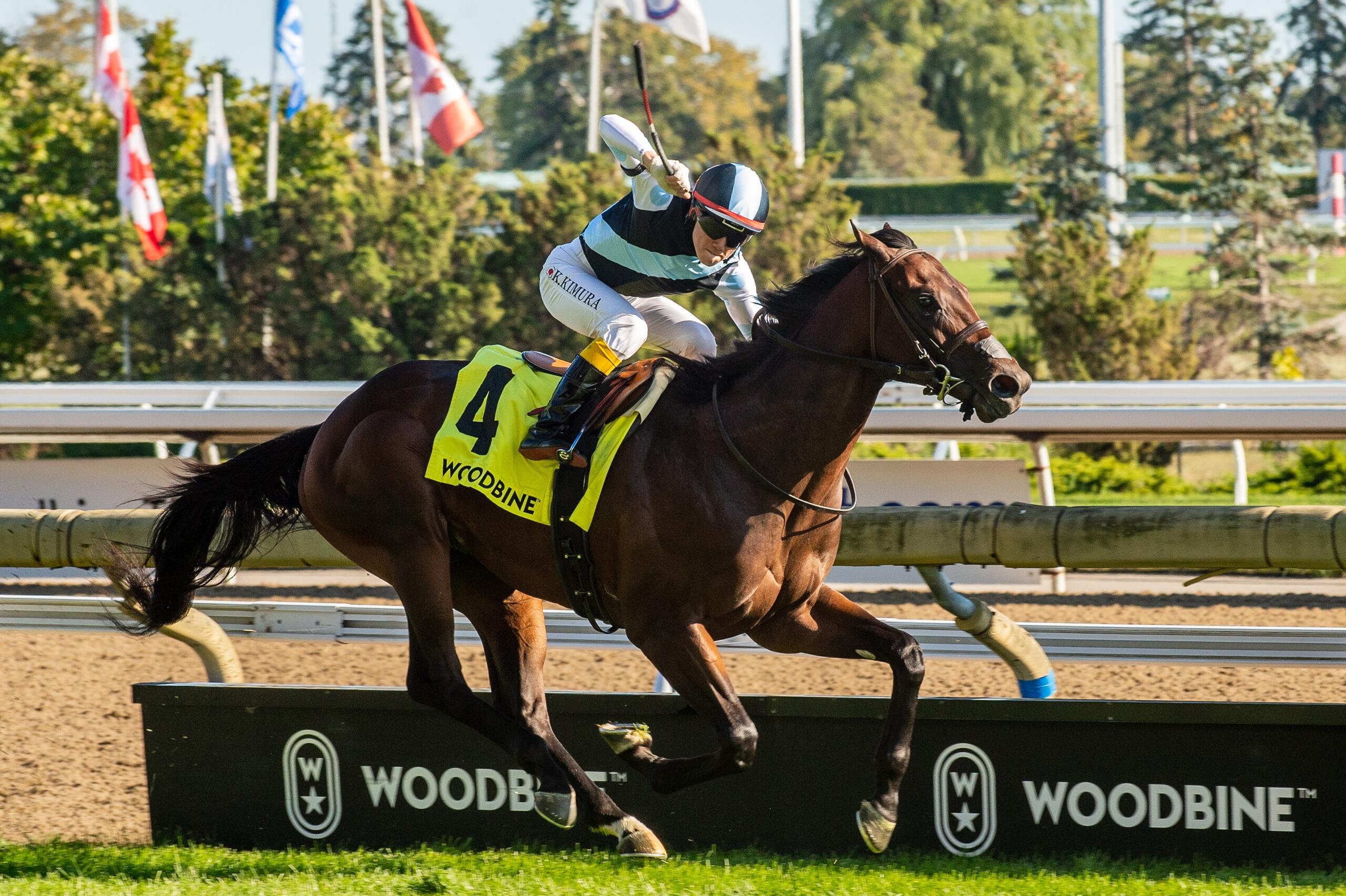 Eclipse Points Seven Runners to Breeders' Cup Eclipse Thoroughbred