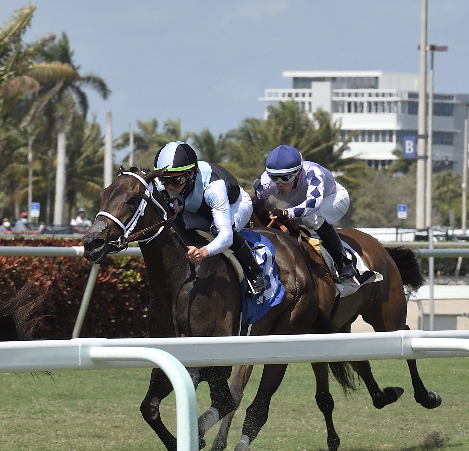 Con Lima Aims To Punch Ticket To Kentucky Oaks In Gulfstream