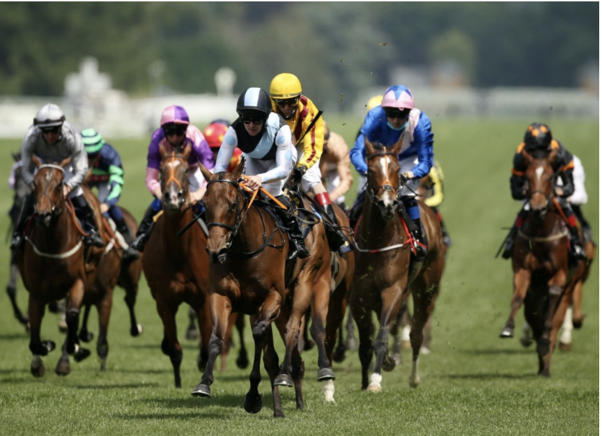 Turf Venture Reaps Ascot Glory For Eclipse Thoroughbreds | Eclipse ...