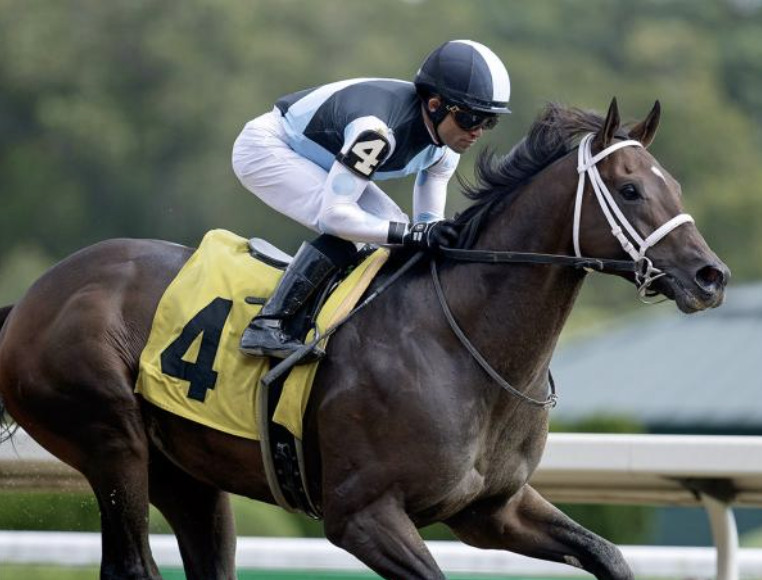 2021 Breeders' Cup Sprint: Aloha West runs his way into starting gate ...