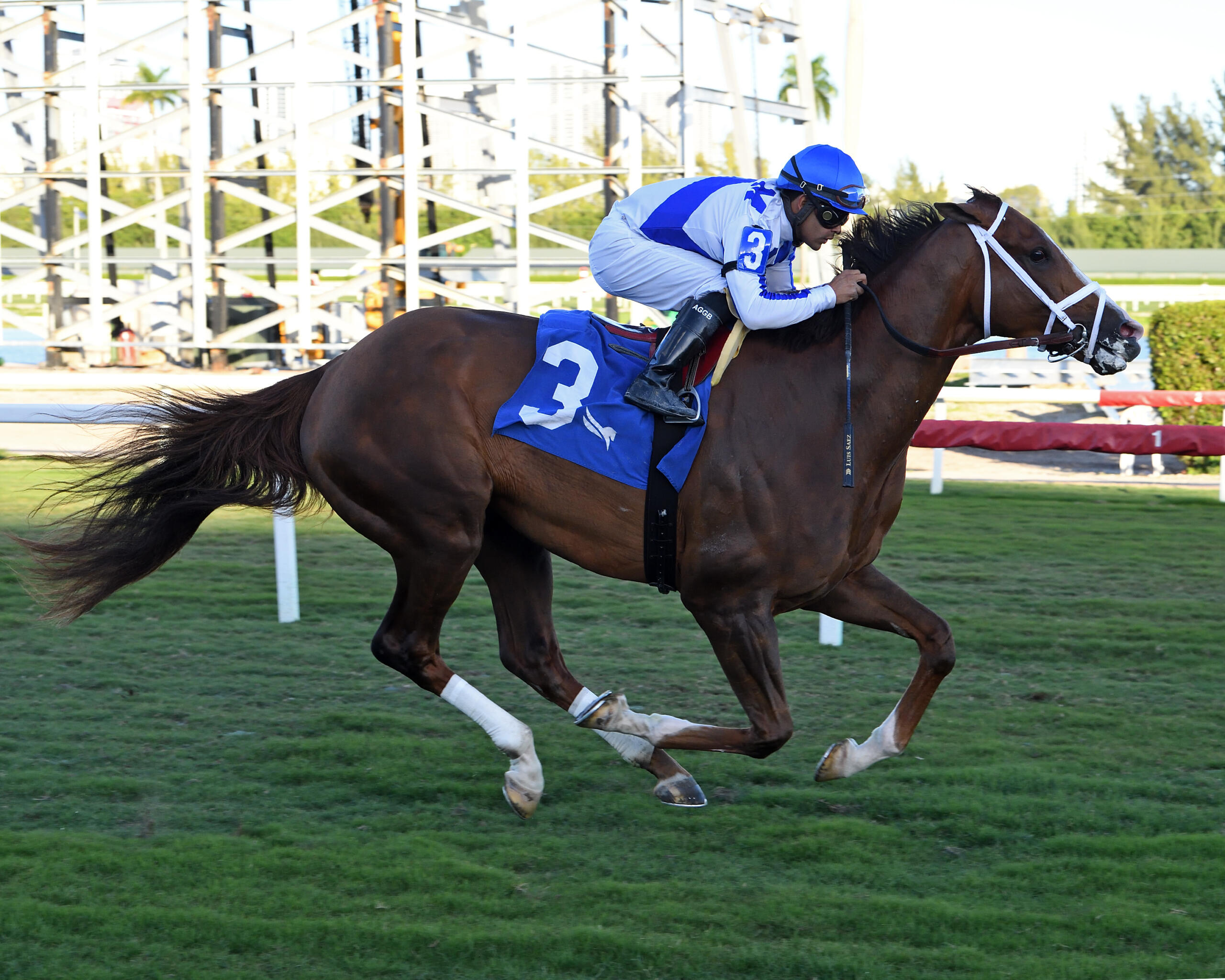 Abaan Controls Pace, Romps To Easy Victory In TwoMile H. Allen Jerkens