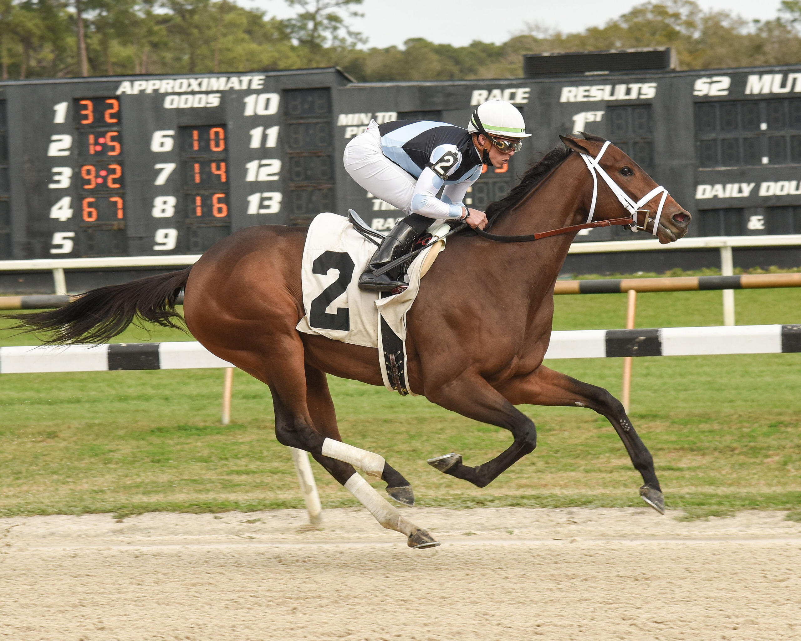 Home Eclipse Thoroughbred Partners