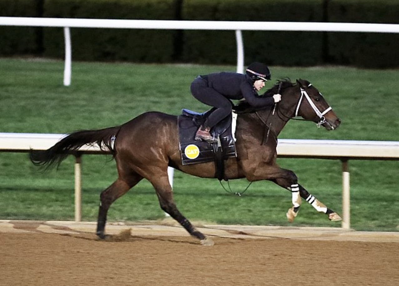 Home Eclipse Thoroughbred Partners