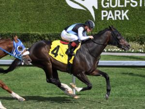 Corruption is the morning-line favorite in the $250,000 Belmont Gold Cup (G2) | Coglianese photo