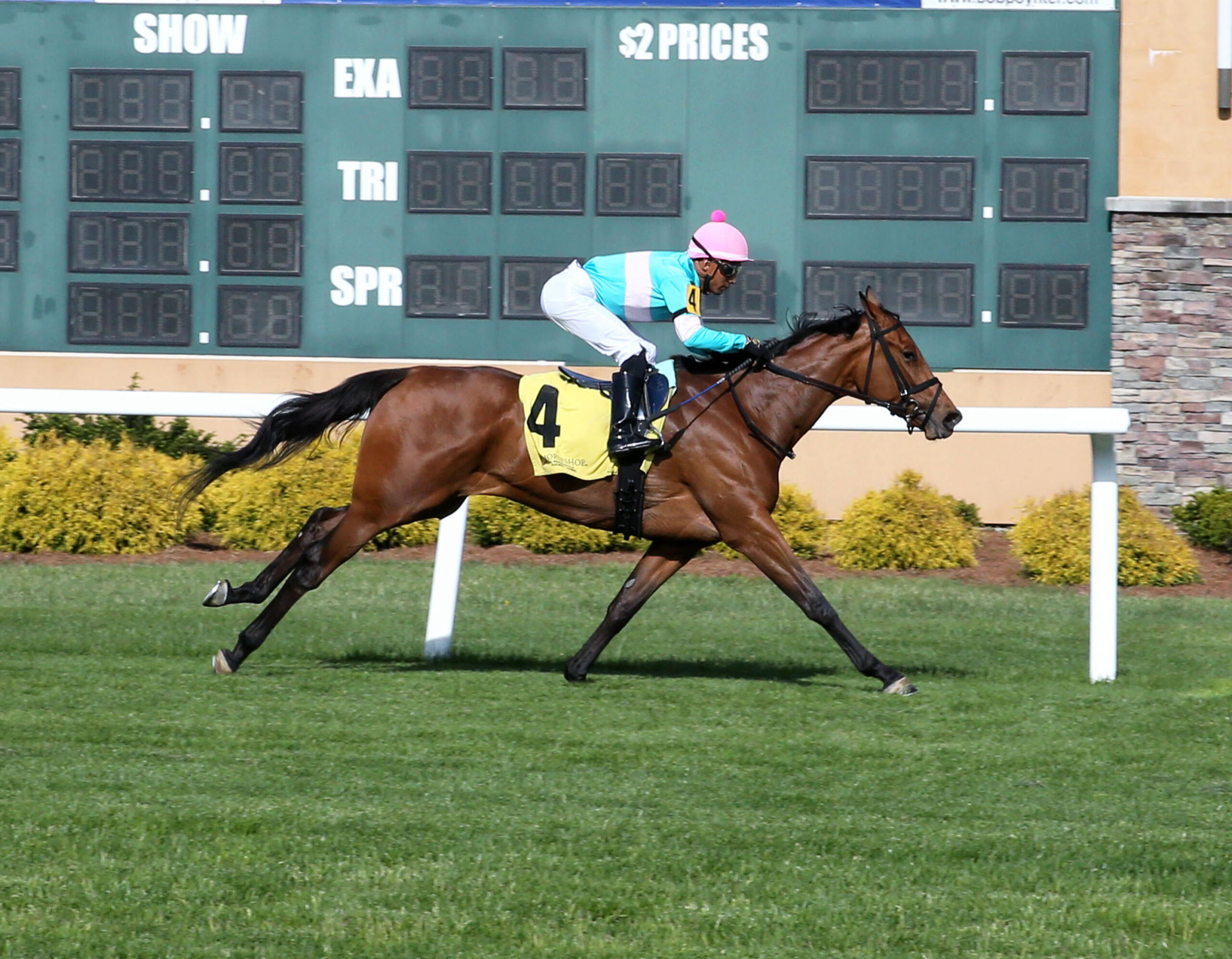 Eclipse Hits 500 Win Milestone Eclipse Thoroughbred Partners