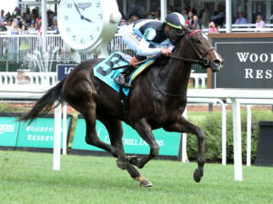 Roja steps up in the Intercontinental (G2) off an impressive win in her seasonal bow | Coady photo