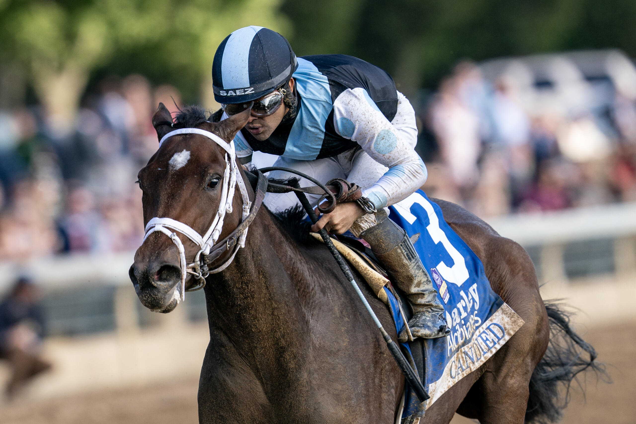 Breeders' Cup Winner Twilight Gleaming Heads Mamzelle - BloodHorse