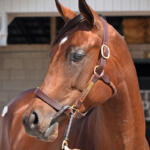 Lady d’Arbanville ’24