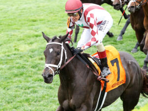 The ultra-consistent Capturing finds her groove as a turf sprinter with the daylight victory | Coady Media photos 