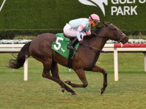 Midnight Martini was privately purchased after breaking her maiden on debut earlier this year at Gulfstream | Coglianese photo