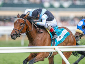 Speed Shopper looks to continue her momentum in the New York S. (G1) | Coady photo