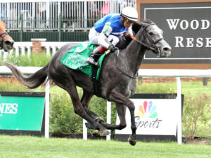 Millionaire Classic Q seeks her first G1 victory on Saturday | Coady photo